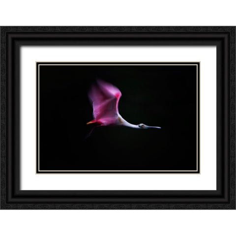 Rose In The Air Black Ornate Wood Framed Art Print with Double Matting by Chang, Phillip