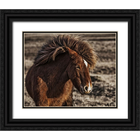 Windblown Black Ornate Wood Framed Art Print with Double Matting by Ingibergsson, Bragi