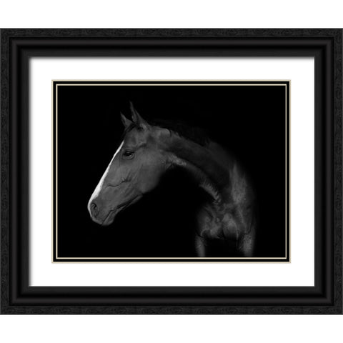 My Horse Black Ornate Wood Framed Art Print with Double Matting by De Kogel, Wieteke