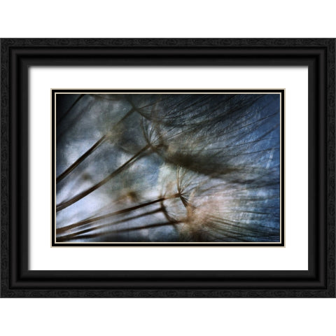 Untitled Black Ornate Wood Framed Art Print with Double Matting by Grambone, Antonio