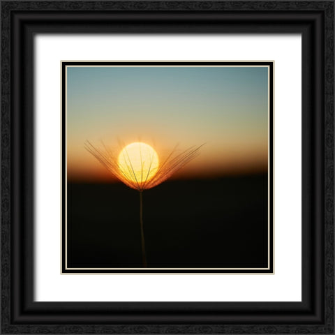 Trapped In A Downy Tuft Black Ornate Wood Framed Art Print with Double Matting by Riha, Milan