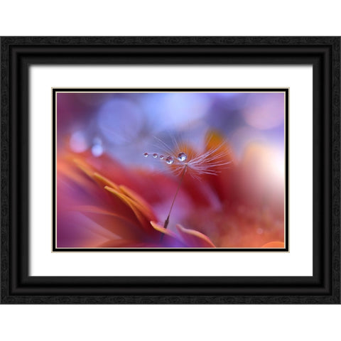 Dance In The Light... Black Ornate Wood Framed Art Print with Double Matting by Nan, Juliana