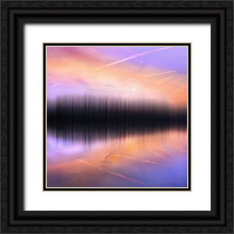 Lejos... En El Reino De Los Sueapos III Black Ornate Wood Framed Art Print with Double Matting by Rodriguez, Chus