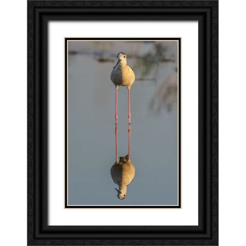 Mirror Black Ornate Wood Framed Art Print with Double Matting by Tamajo, Massimo