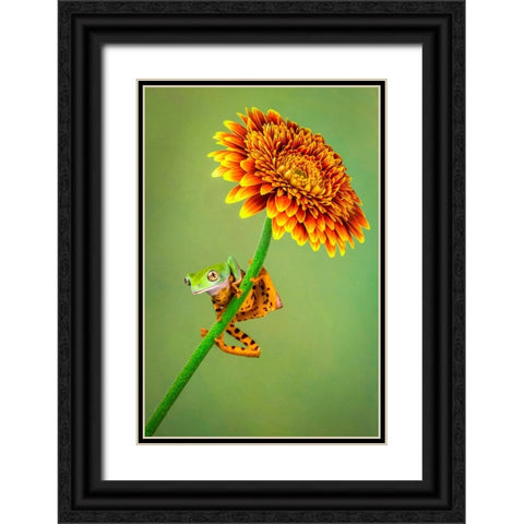 Just Hanging Around Black Ornate Wood Framed Art Print with Double Matting by Doyle, Renee