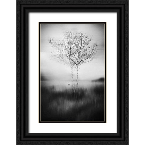 That Tree Black Ornate Wood Framed Art Print with Double Matting by Perez Acevedo, Lisandro