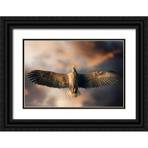 The Last Flight Black Ornate Wood Framed Art Print with Double Matting by Ghizzi Panizza, Alberto