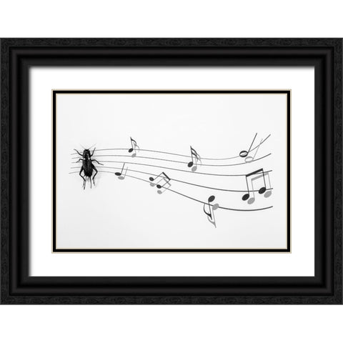 The Music Of Nature Black Ornate Wood Framed Art Print with Double Matting by Mallus, Stefano