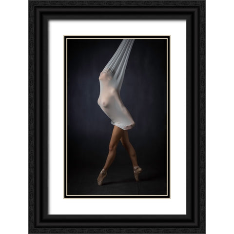 Sheer Stretch Black Ornate Wood Framed Art Print with Double Matting by Catchlight Studio
