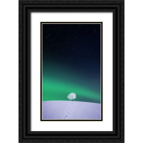 Apple Black Ornate Wood Framed Art Print with Double Matting by Hamiti, Bess