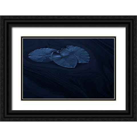 Leaf Black Ornate Wood Framed Art Print with Double Matting by Wallberg, Allan