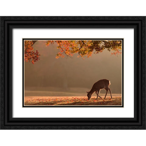 First Autumn Black Ornate Wood Framed Art Print with Double Matting by Matsui, Yoshinori