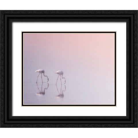 Serenity 3 Black Ornate Wood Framed Art Print with Double Matting by Thabet, Ahmed