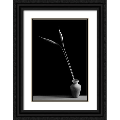 Double Black Ornate Wood Framed Art Print with Double Matting by Oveckova, Kristina