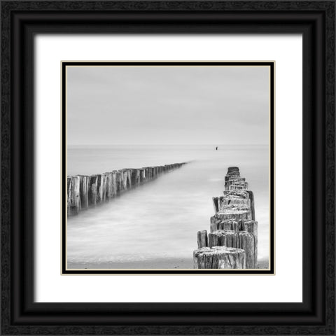 Sea Watcher Black Ornate Wood Framed Art Print with Double Matting by Degryse, Michelle