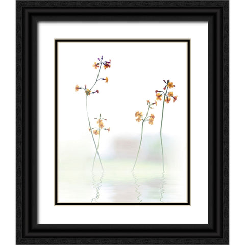 Petite Fleur .... Black Ornate Wood Framed Art Print with Double Matting by Cseresnjes, Anna