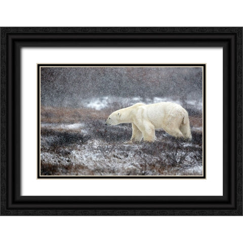 Snowing Time Black Ornate Wood Framed Art Print with Double Matting by Catta, Alessandro