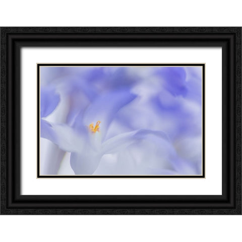 Blue Waves Black Ornate Wood Framed Art Print with Double Matting by De Hoog, Roelof