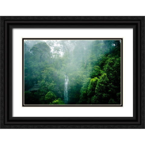 Green Black Ornate Wood Framed Art Print with Double Matting by Steinkopff, Robert
