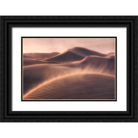 Viento De Arena Black Ornate Wood Framed Art Print with Double Matting by CIA, INIGO