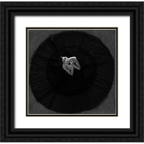 Black Swan Black Ornate Wood Framed Art Print with Double Matting by Krystynek MQEP, Martin