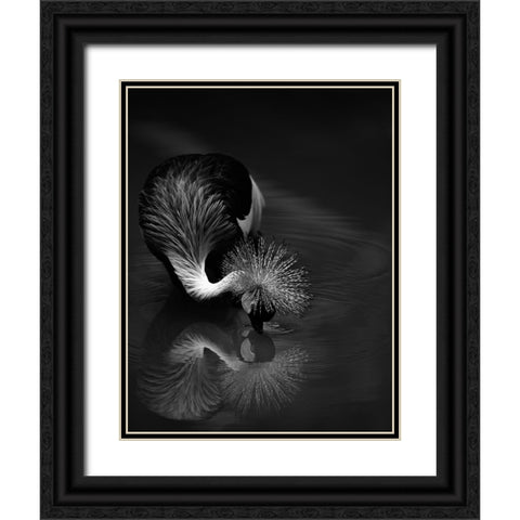 The Reflection Black Ornate Wood Framed Art Print with Double Matting by Tjandra, C.S.