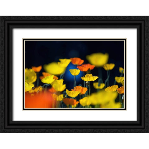 One Point Black Ornate Wood Framed Art Print with Double Matting by Suzuki, Takashi