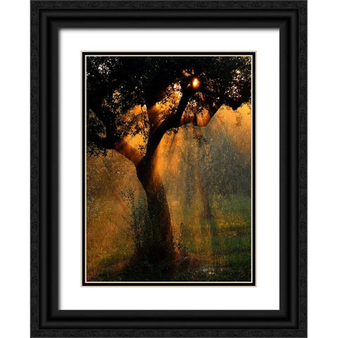 Light Shower Black Ornate Wood Framed Art Print with Double Matting by Castoldi, Stefano