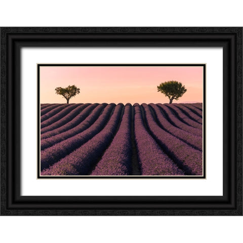 Lavender Field Black Ornate Wood Framed Art Print with Double Matting by Kevin