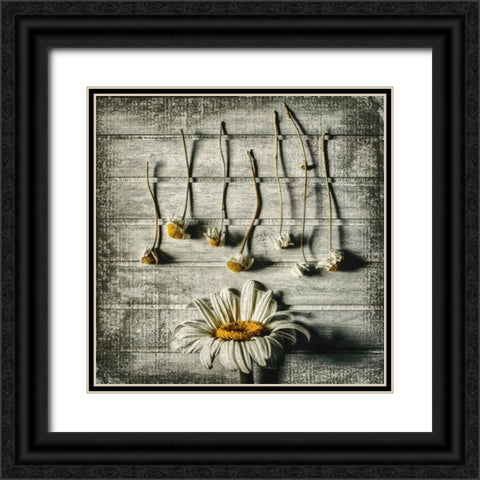 Survival Black Ornate Wood Framed Art Print with Double Matting by Petkova, Evelina