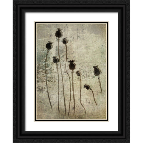 Poppy Seedlings Black Ornate Wood Framed Art Print with Double Matting by Talen, Nel