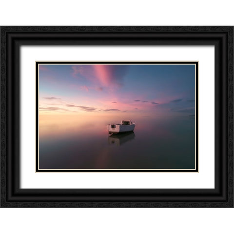 Tarragona Delta Del Ebre Alone Black Ornate Wood Framed Art Print with Double Matting by joanaduenas