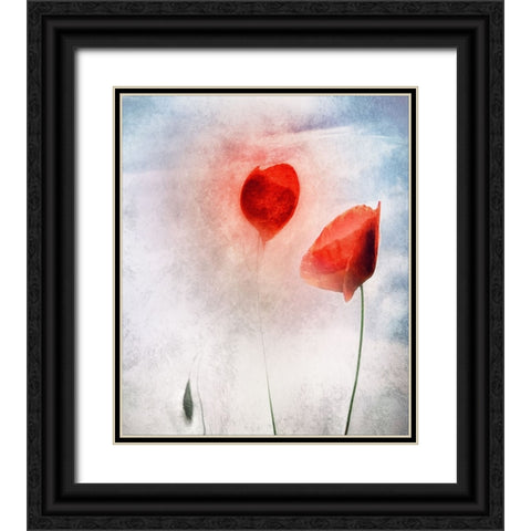 In Flanders Fields Black Ornate Wood Framed Art Print with Double Matting by Claes, Gilbert