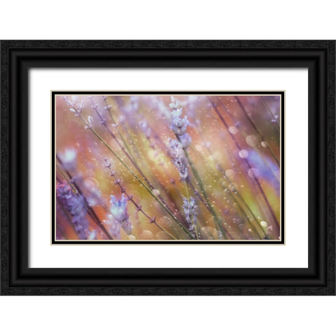 Something Magical Black Ornate Wood Framed Art Print with Double Matting by Devos, Delphine