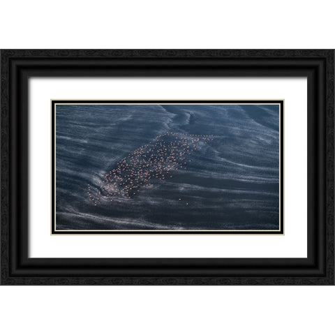 Wave Runner Ii Black Ornate Wood Framed Art Print with Double Matting by Fan, John