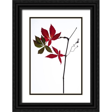 Simple Black Ornate Wood Framed Art Print with Double Matting by Lagandre Transgressed, Thierry