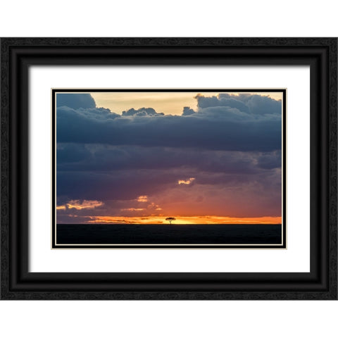 Tree On Fire 2 Black Ornate Wood Framed Art Print with Double Matting by C. Sink, Jeffrey