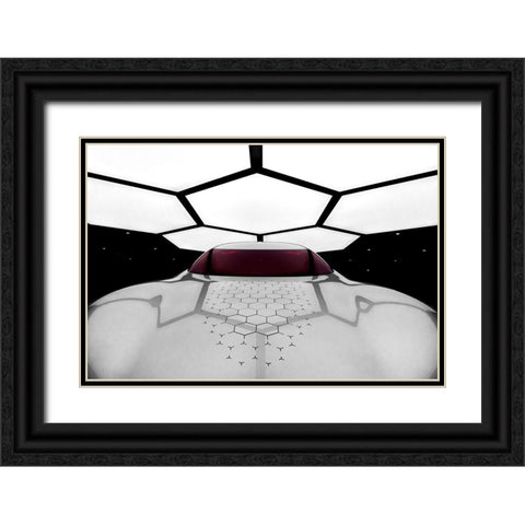 Trezor Black Ornate Wood Framed Art Print with Double Matting by Barrington, Fred