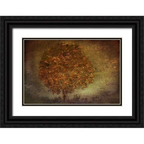 Autumn Tree Black Ornate Wood Framed Art Print with Double Matting by Talen, Nel