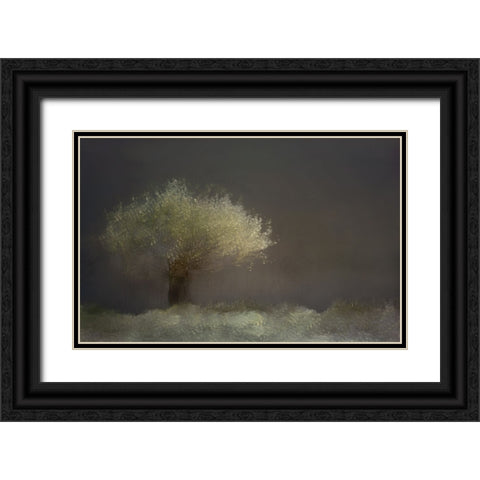 Willow Black Ornate Wood Framed Art Print with Double Matting by Talen, Nel