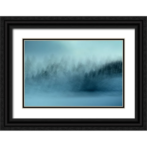 Wintersaga Black Ornate Wood Framed Art Print with Double Matting by Sillen, Christina