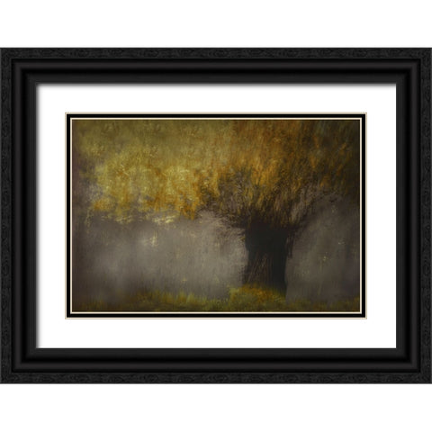 Pollard Willow Black Ornate Wood Framed Art Print with Double Matting by Talen, Nel