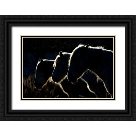 Horses (Colored Version) Black Ornate Wood Framed Art Print with Double Matting by Romaggi, Michel