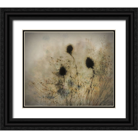 Seed Boxes Black Ornate Wood Framed Art Print with Double Matting by Talen, Nel