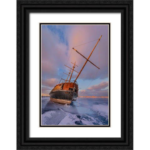 Frozen Black Ornate Wood Framed Art Print with Double Matting by Huang, Richard