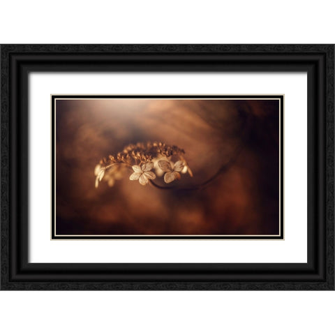 Withe Hydrangea Black Ornate Wood Framed Art Print with Double Matting by Suzuki, Takashi
