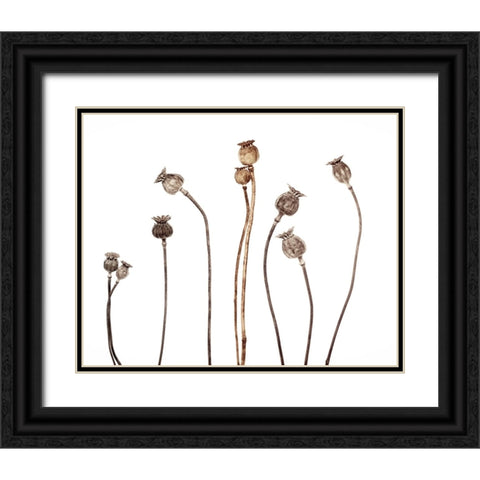 Poppies Black Ornate Wood Framed Art Print with Double Matting by Gronkjar, Lotte