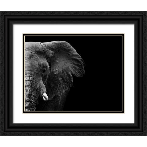 Elephant Black Ornate Wood Framed Art Print with Double Matting by WildPhotoArt