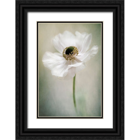 Single White Black Ornate Wood Framed Art Print with Double Matting by Parker, Jacky