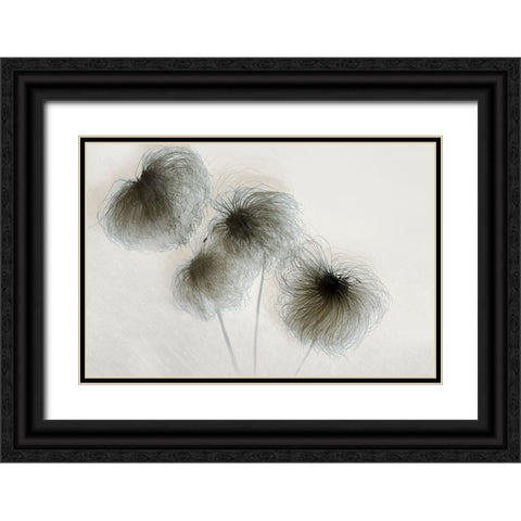 Clematis Black Ornate Wood Framed Art Print with Double Matting by Talen, Nel
